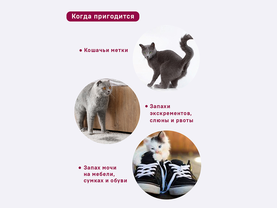 Туалет для кошек в мебели