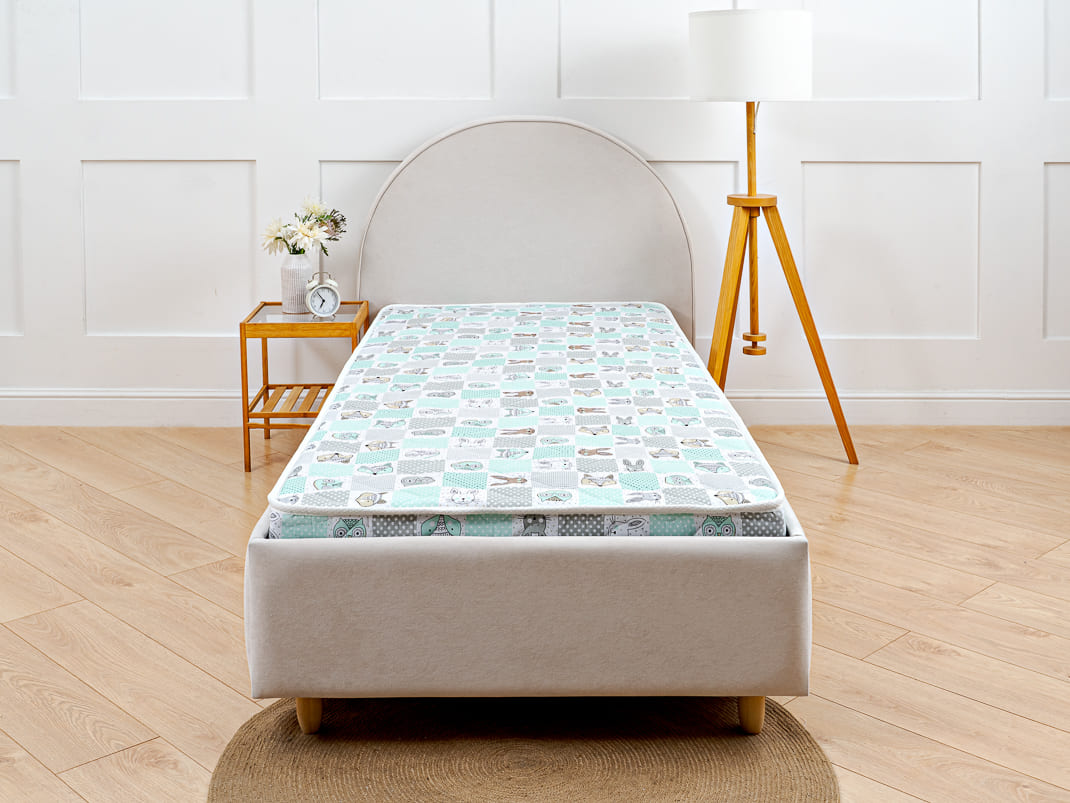 Матрас Kids Dream EVS-8 100x150